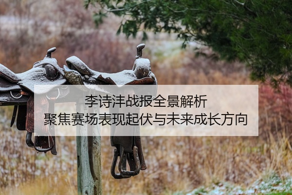李诗沣战报全景解析 聚焦赛场表现起伏与未来成长方向